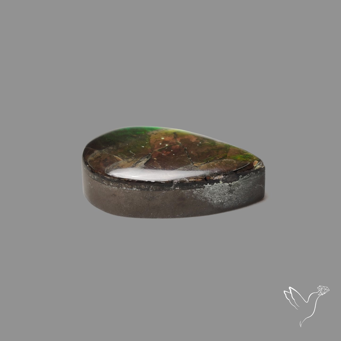 AAA Green Ammolite Cabochon
