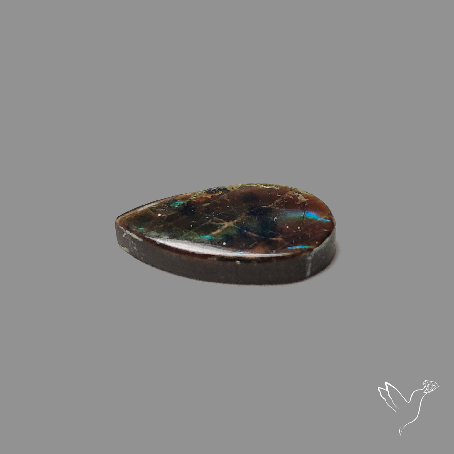 AAA Multi Color Ammolite Cabochon