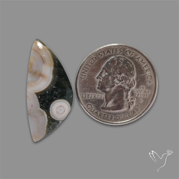Orbicular Ocean Jasper Cabochon