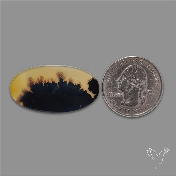 Scenic Agate Cabochon