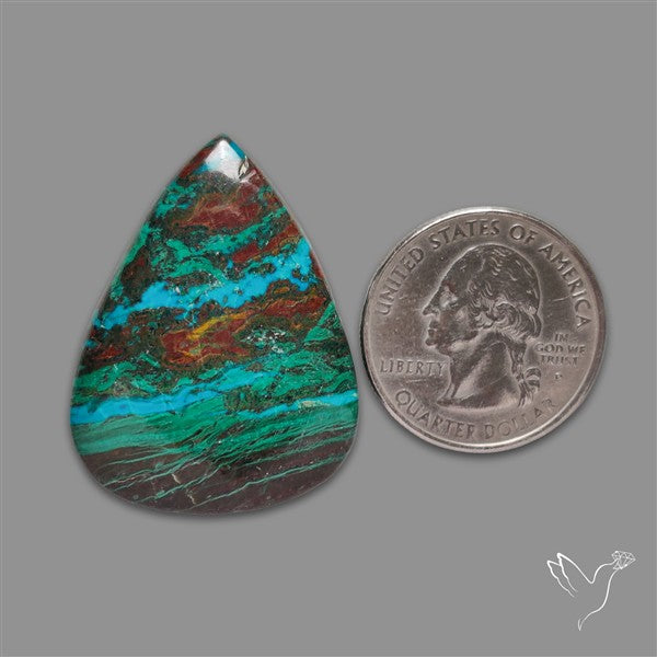 Parrot Wing Chrysocolla Cabochon