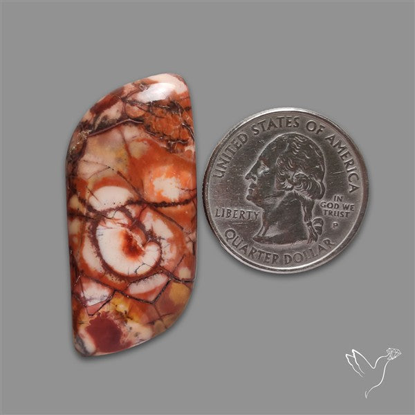 Bird Eye Jasper Cabochon