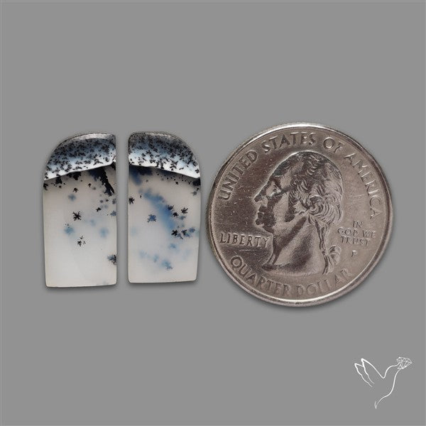 Dendritic Opal Pair