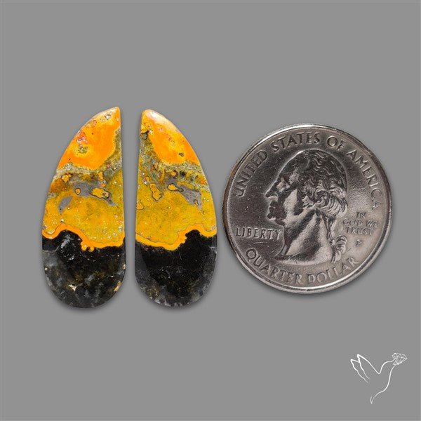 Bumble Bee Jasper Pair