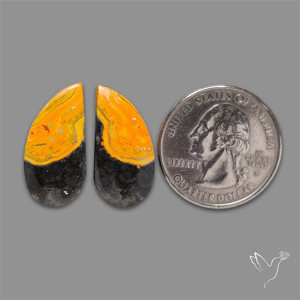 Bumble Bee Jasper Pair