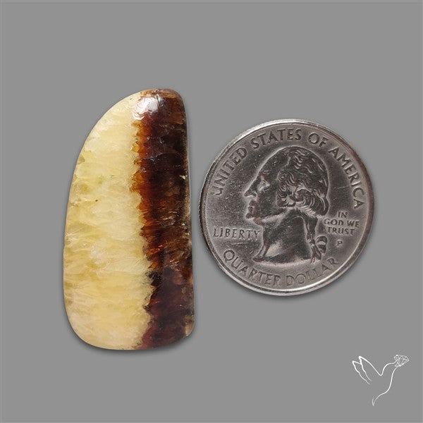 Yellow Septarian Cabochon