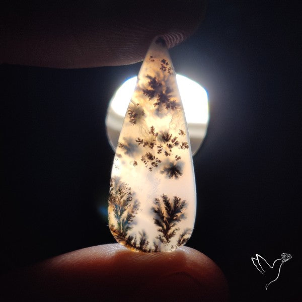 Russian Dendritic Agate Cabochon