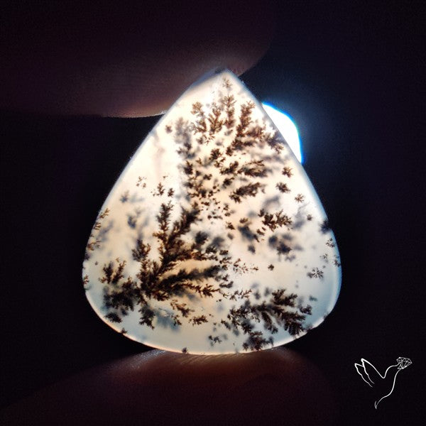 Russian Dendritic Agate Cabochon
