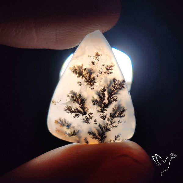Russian Dendritic Agate Cabochon
