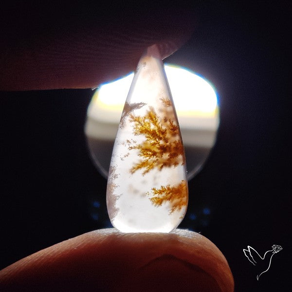 Russian Dendritic Agate Cabochon