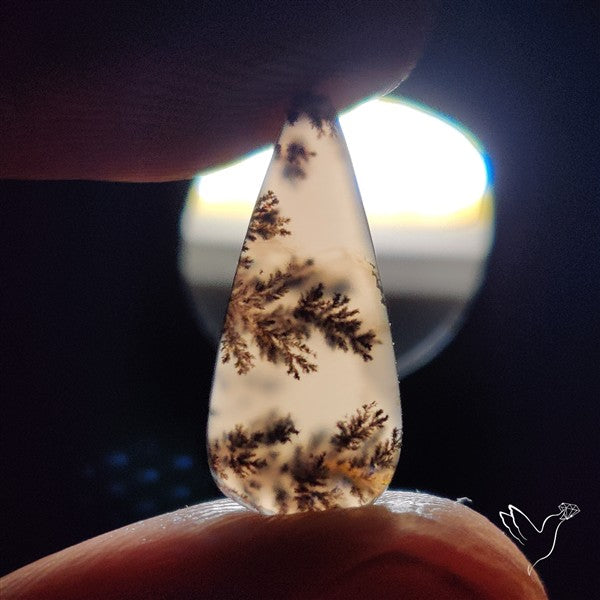 Russian Dendritic Agate Cabochon