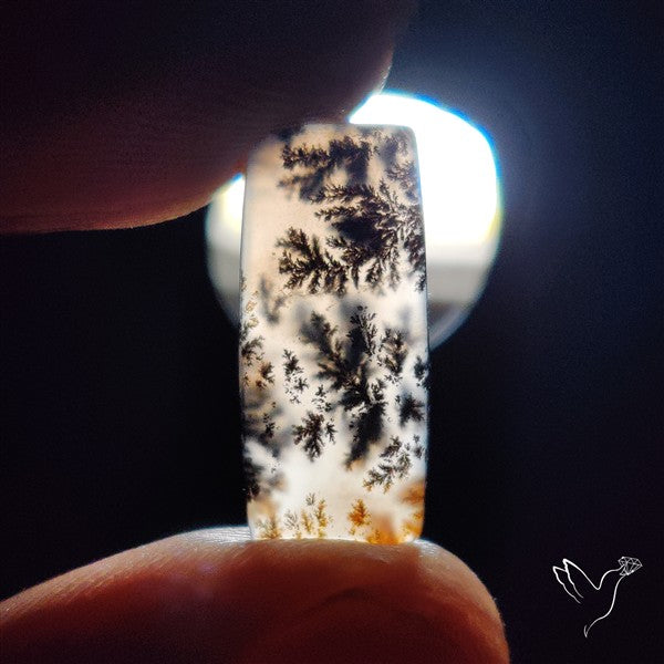 Russian Dendritic Agate Cabochon
