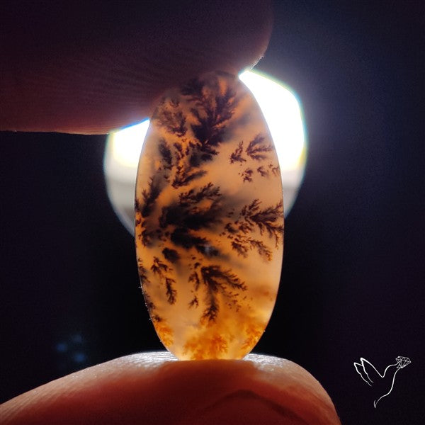 Russian Dendritic Agate Cabochon