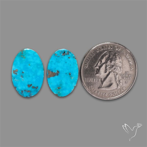 Rare Campitos Mines Turquoise Pair with Pyrite Inclusion