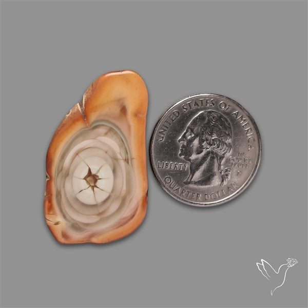 Selected Imperial Jasper Slice