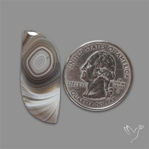Botswana Agate Cabochon