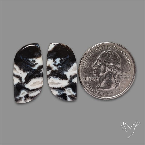 Tuxedo Agate Pair