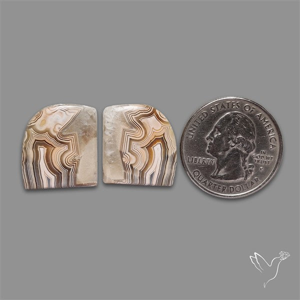 Crazylace Agate Pair
