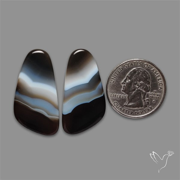 Tuxedo Agate Pair