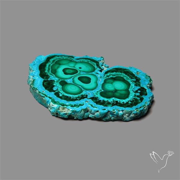 Rare Chrysocolla Malachite Stalacite Slice Selected Patterns
