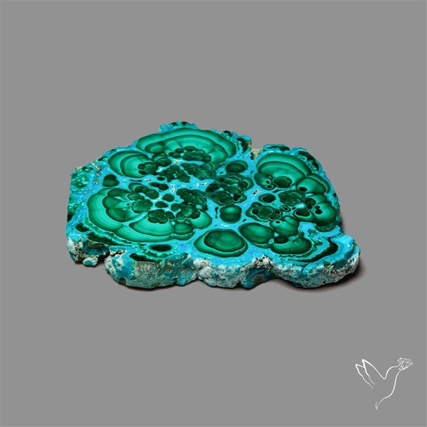 Rare Chrysocolla Malachite Stalacite Slice Selected Patterns