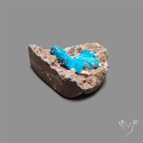 Large Cavansite Druzy Specimen with Flat Backs