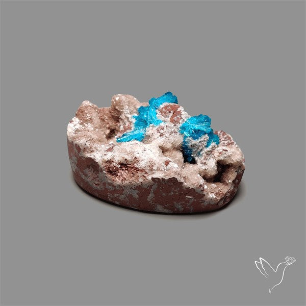 Large Cavansite Druzy Specimen with Flat Backs