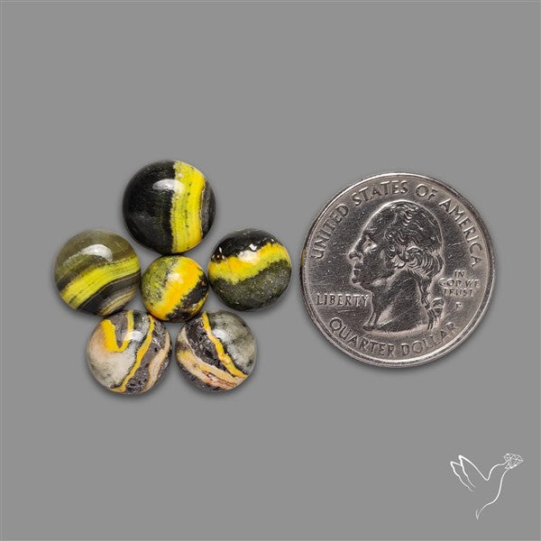 Bumble Bee Jasper Rounds Lot