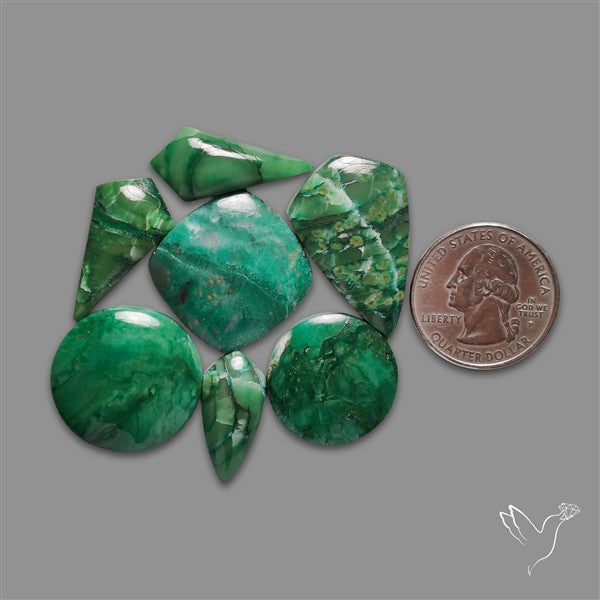 Larsonite Gary Green Jasper Cabochons Lot