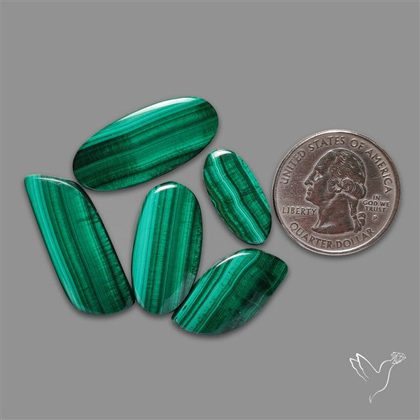 Malachite with Chattoyancy Cabochons Lot