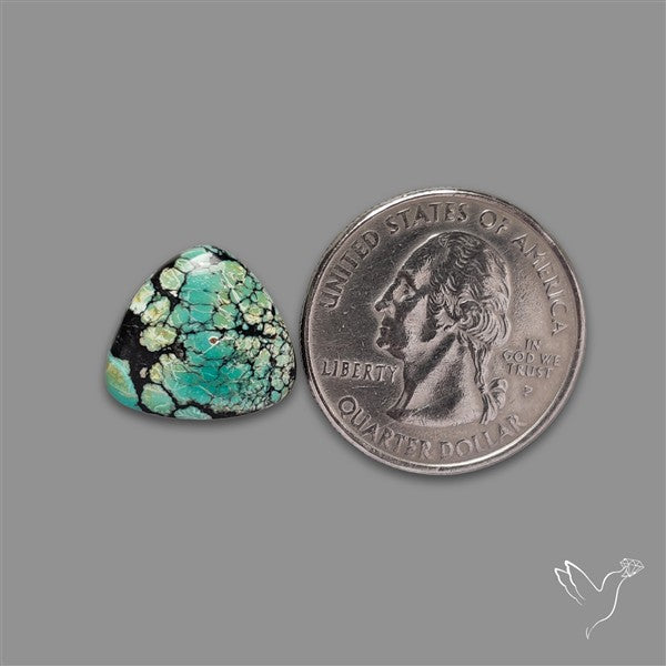 Selected Hubei Turquoise Cabochon