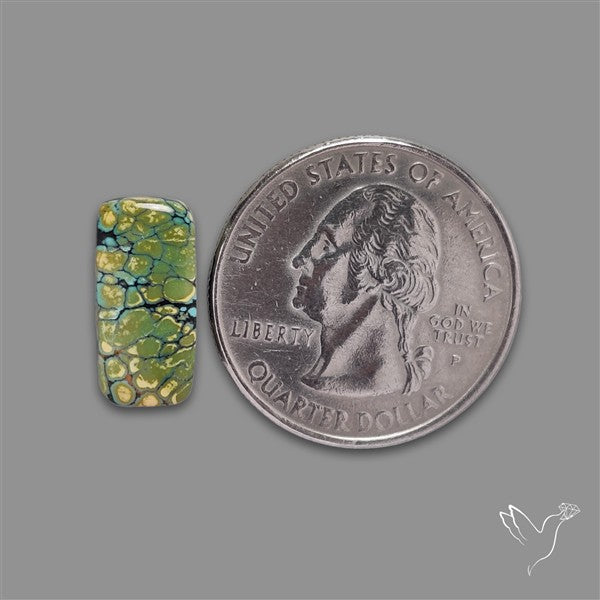 Selected Hubei Turquoise Cabochon