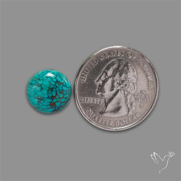 Selected Hubei Turquoise Cabochon