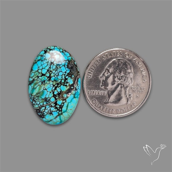Selected Hubei Turquoise Cabochon