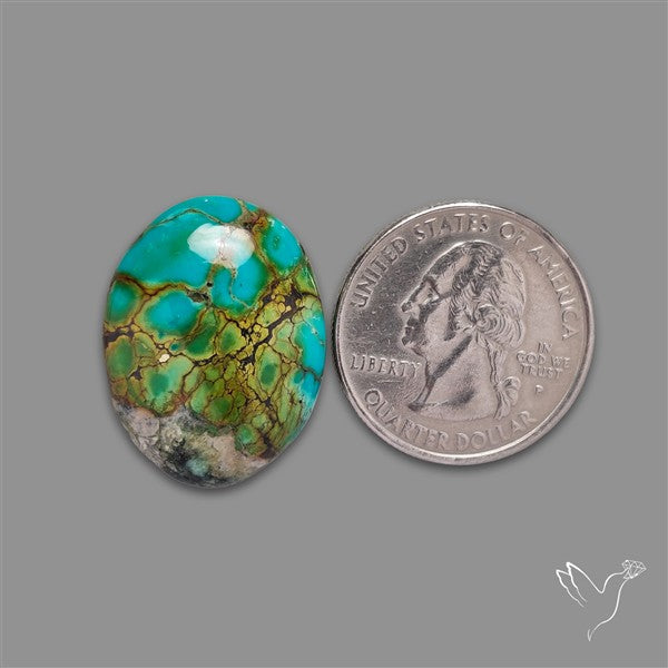 Selected Hubei Turquoise Cabochon