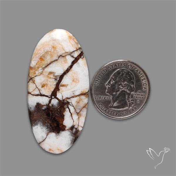 Wild Horse Magnesite Cabochon
