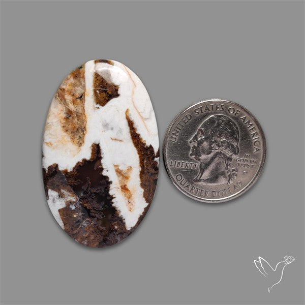 Wild Horse Magnesite Cabochon