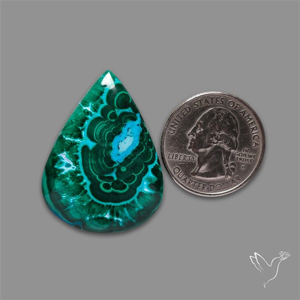 Chrysocolla In Malachite Cabochon