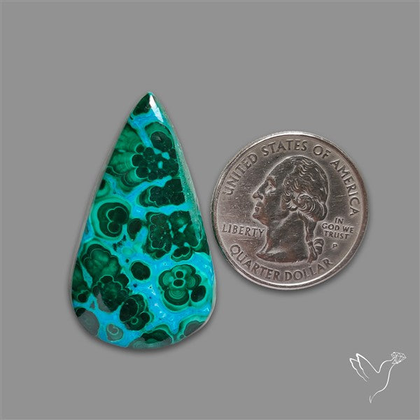 Chrysocolla In Malachite Cabochon
