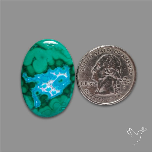 Chrysocolla In Malachite Cabochon