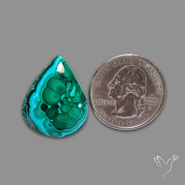 Chrysocolla In Malachite Cabochon
