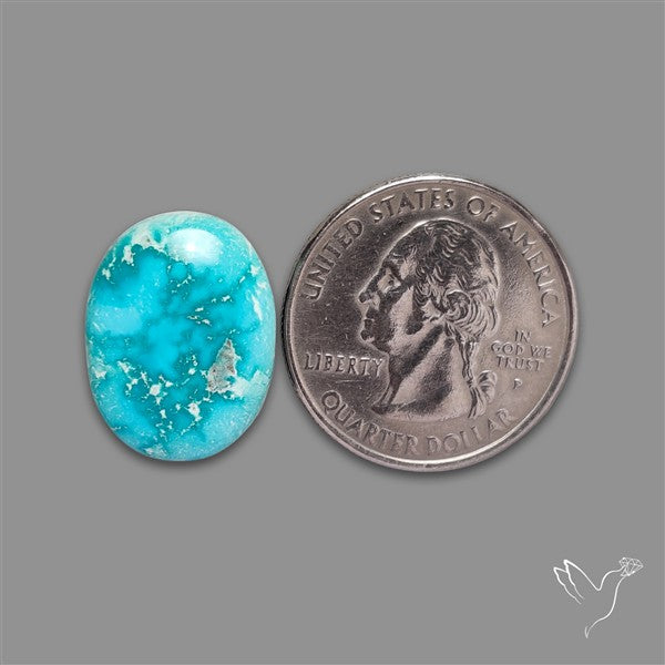 New Lander Turquoise Cabochon