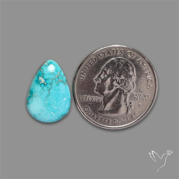 New Lander Turquoise Cabochon
