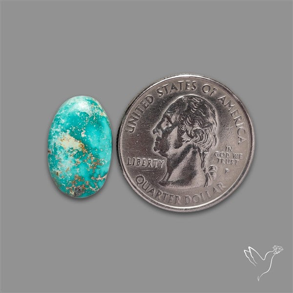 Sonoran Gold Turquoise