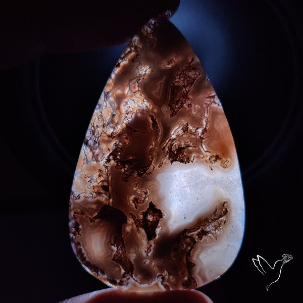 Moss Agate Cabochon