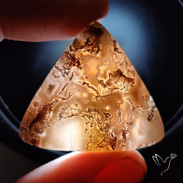 Moss Agate Cabochon