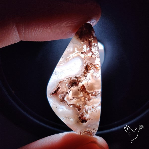 Moss Agate Cabochon