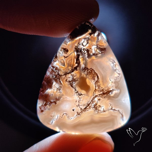 Moss Agate Cabochon