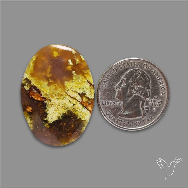 Agatized Green Petrified Wood
