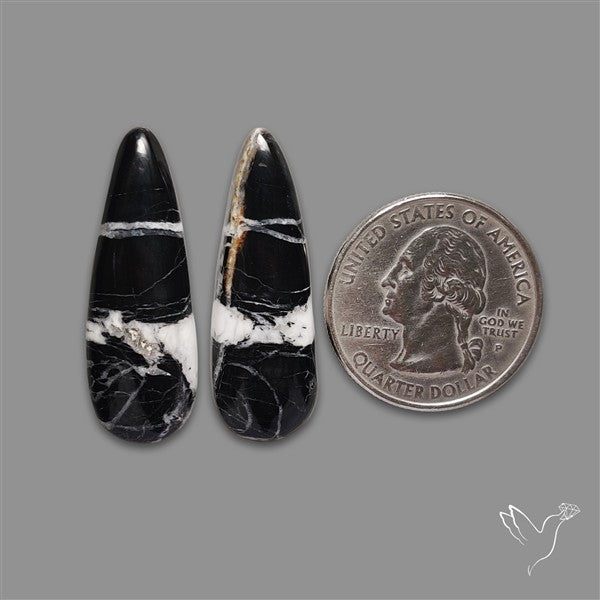 White Buffalo Turquoise Pair